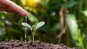 رصيدك غيرُ كافٍ!