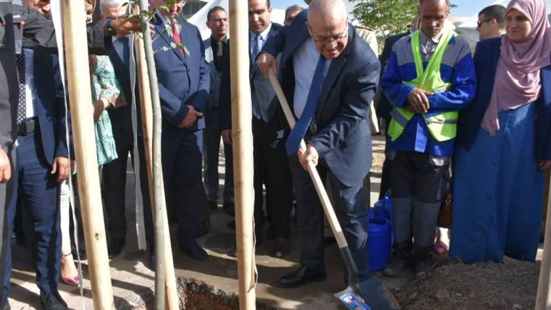 فلاحة.. شرفة يُعلن انطلاق حملة الحرث والبذر للموسم الفلاحي الجديد