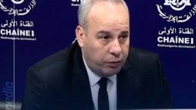 مسؤول بوزارة الفلاحة: منح تراخيص لـ 67 ألف مستثمرة فلاحية منذ 2020