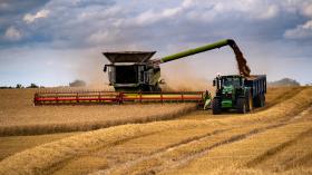 توقعات بتغيّر جديد في سعر القمح العالمي