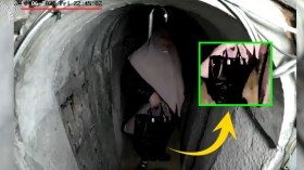 مهزلة حقيبة زوجة السنوار التي زعم أفيخاي أدرعي أن ثمنها 32 ألف دولار!