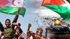 بين الاحتلال المغربي للصحراء والاحتلال الصهيوني لفلسطين