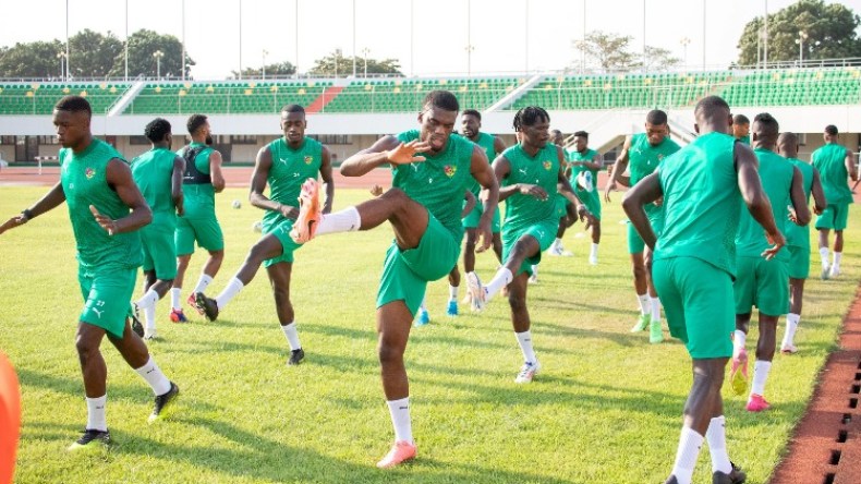 منتخب الطوغو يُعسكر بتونس قبل مواجهة “الخضر”