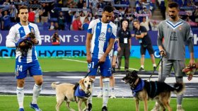 بِالفيديو: زمنُ الكلابِ!