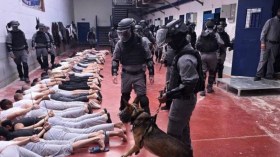 الكيان الصهيوني يبث مشاهد تعذيب الأسرى في وسائل الإعلام