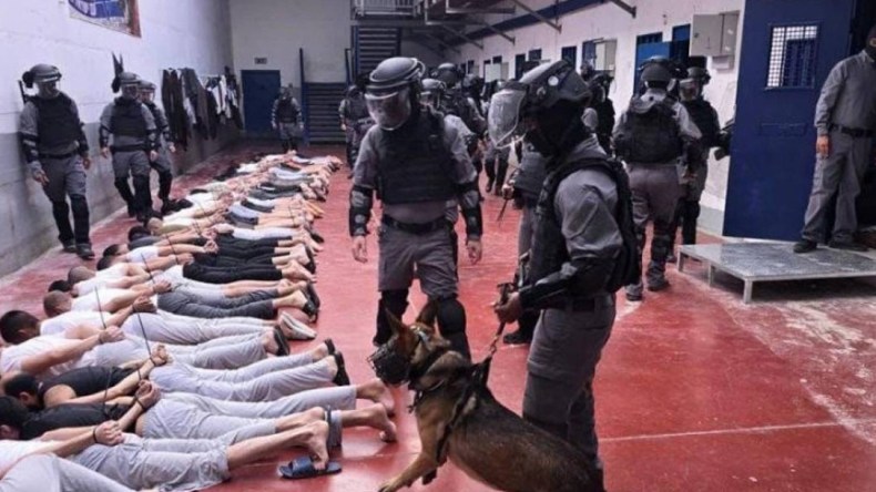 الكيان الصهيوني يبث مشاهد تعذيب الأسرى في وسائل الإعلام