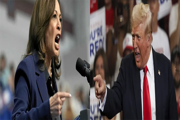 Traitée de tous les noms par Trump, Harris lui riposte!
