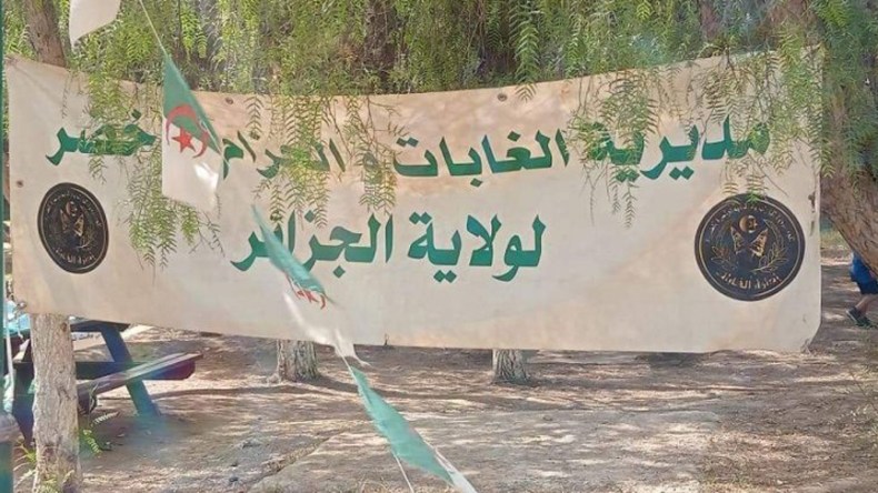 منح المواطن والجمعيات الصلاحيات لاختيار مواقع التشجير لتزيين العاصمة