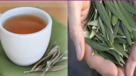 6 فوائد لأوراق الزيتون