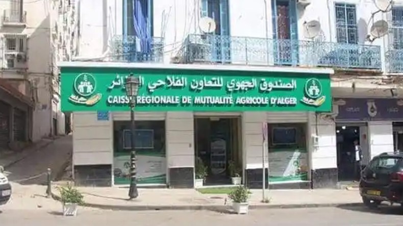 منتجات تأمينية للمقاولين والصناعيين بتسعيرات تفضيلية