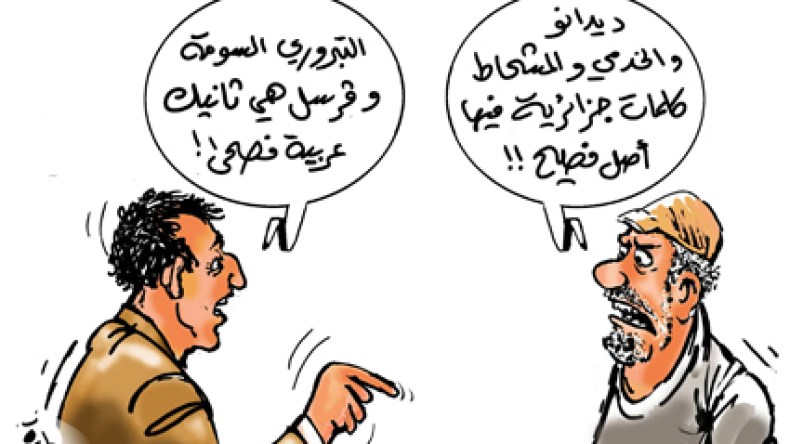 ديدانو والخدمي والمشحاط.. كلمات جزائرية لها أصل فصيح