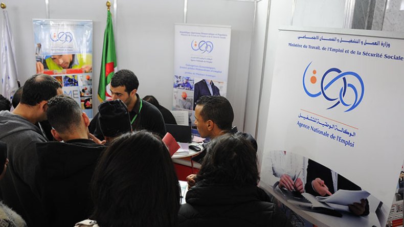 ملفات مناصب الشغل الجديدة جاهزة مطلع الشهر المقبل