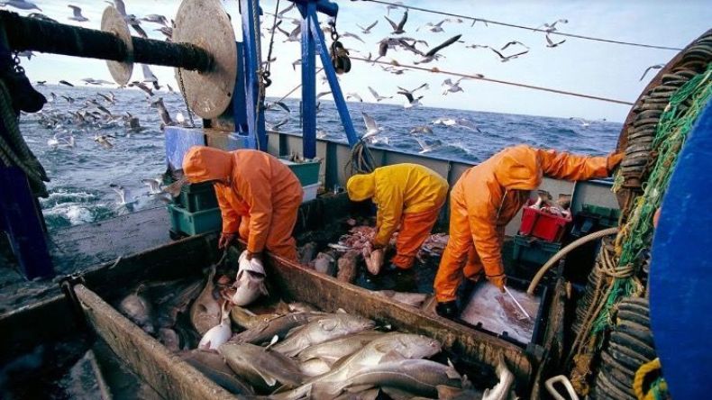 الجزائر تتحصل على جائزة الامتثال في مكافحة الصيد البحري غير القانوني