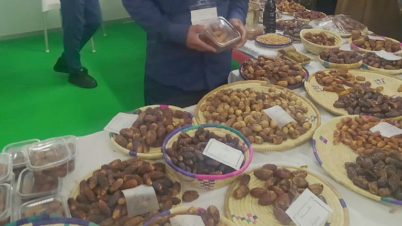 400 نوع من التمور الجزائرية يجهلها المواطنون!