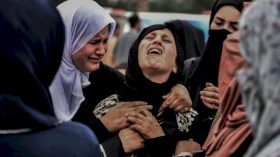 “عجز أم تطبيع”.. كيف نحيي ضمير الشعوب المعتادة على مشهد الإبادة؟