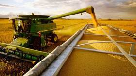 الجزائر تطلق مناقصة لشراء شحنة من القمح اللّين