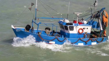 Lutte contre la pêche illicite: L’Algérie reçoit le Prix de la conformité de la CGPM