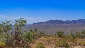 Météo Algérie: Temps sec et doux sur tout le territoire