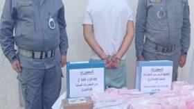 ضبط أزيد من 2 كلغ من الكوكايين في باخرة قادمة من فرنسا