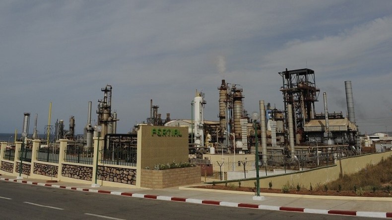 الجزائر ومصر تتصدران كبار منتجي الأمونيا في إفريقيا