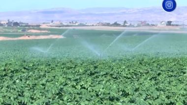 شح الأمطار.. عواقب على المحاصيل الزراعية