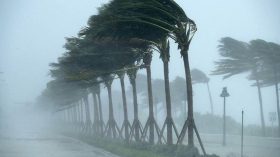 تنبيه جديد: رياح عاتية على هذه الولايات