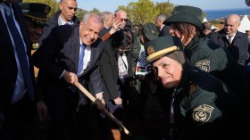 مشروع جديد لسوناطراك لغرس 423 مليون شجرة في الجزائر