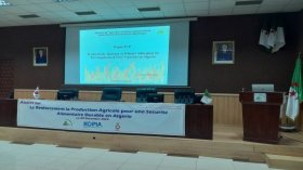 إطلاق برنامج فلاحي جديد بين الجزائر وكوريا الجنوبية وهذه تفاصيله 