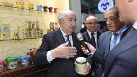 الرئيس تبون يشيد بمدى تطور الصناعة الوطنية