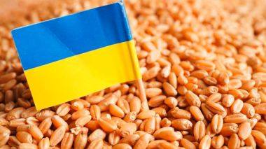 L’Ukraine annonce l’envoi de céréales en Syrie