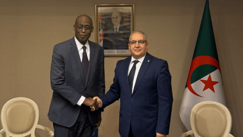 مقرمان يستقبل المفوض السامي المساعد لشؤون اللاجئين بالأمم المتحدة