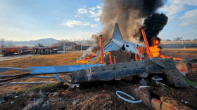 بالفيديو.. أكثر من 179 قتيلا في تحطم طائرة بكوريا الجنوبية