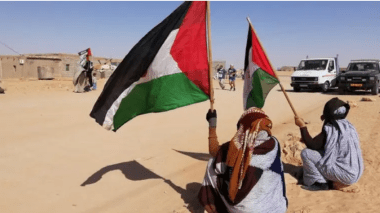 الرصد العالمي يحذر من فرض تسوية على حساب حق الشعب الصحراوي