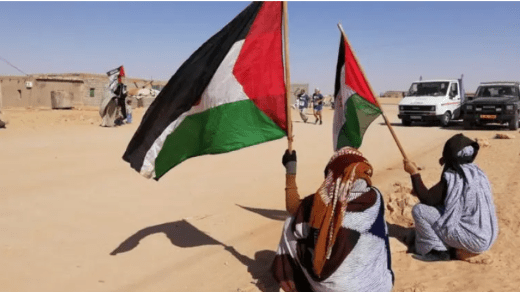 الرصد العالمي يحذر من فرض تسوية على حساب حق الشعب الصحراوي