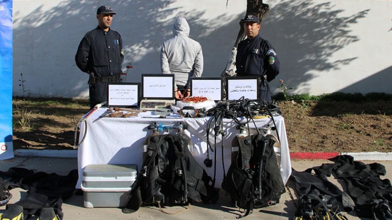 أخبار الجزائر ليوم الجمعة 20 ديسمبر 2024