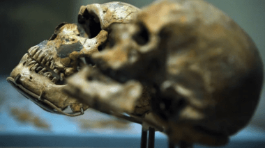 Deux études éclairent “l’histoire” des premiers hommes modernes