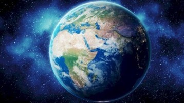 صراع الثيران فوق عشب الجيران