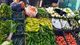 وفرة في الخضر الموسمية ودعوة لاستغلالها في الصناعات الغذائية