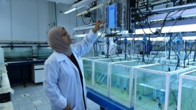 مقومات لتطوير التكنولوجيا الحيوية البحرية في الجزائر