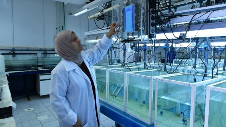 مقومات لتطوير التكنولوجيا الحيوية البحرية في الجزائر