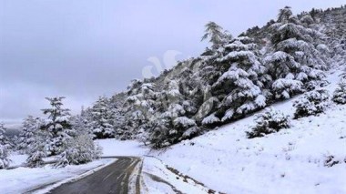Ces cinq wilayas seront touchées par la neige
