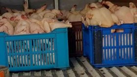 أخبار الجزائر ليوم الأربعاء 18 ديسمبر 2024