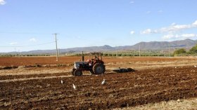 فلاحون متخوفون من الجفاف وخبراء يبشرون بشتاء ممطر