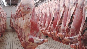 هذه هي خطة وزارة التجارة لاستيراد اللحوم تحسبا لشهر رمضان