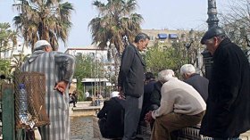 مجلس الشيوخ