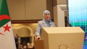 وزيرة الرقمنة: سجلنا 500 مشروع 75% منها تصب في إطار الحوكمة الرقمية