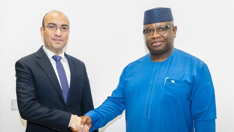 شايب يسلم رسالة خطية من الرئيس تبون إلى نظيره السيراليوني