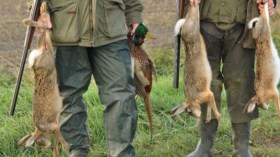 صيد عشوائي.. برَية في خطر