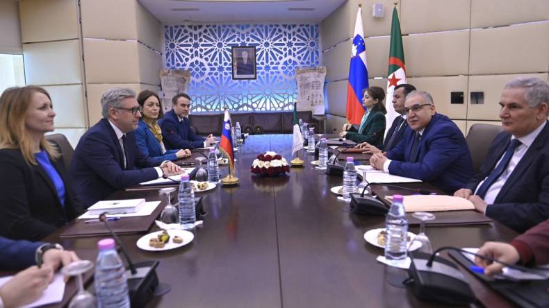 5 مجالات للتعاون بين الجزائر وسلوفينيا