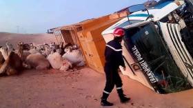 الحماية المدنية: تسجيل 12 وفاة و156 جريحا خلال الـ 24 ساعة الأخيرة